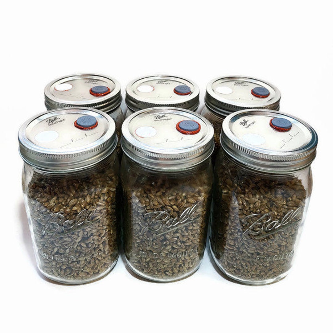6x Sterilized Rye Grain Jars Quart Organic Rye Berry Mushroom Etsy
