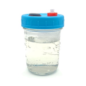May include: A clear glass jar with a blue lid and red and black accents. The jar is filled with a clear liquid and has markings on the side indicating measurements in ounces.