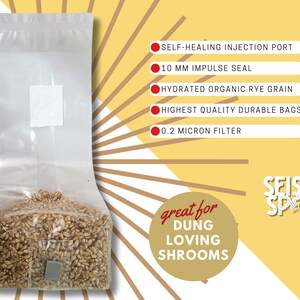 May include: A clear plastic bag filled with hydrated organic rye grain. The bag has a self-healing injection port, a 10 mm impulse seal, and a 0.2 micron filter. The bag is labeled "great for DUNG LOVING SHROOMS" and "SEISMIC SPRE".