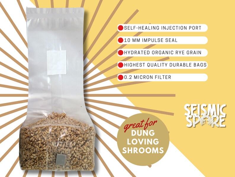 May include: A clear plastic bag filled with hydrated organic rye grain. The bag has a self-healing injection port, a 10 mm impulse seal, and a 0.2 micron filter. The bag is labeled "great for DUNG LOVING SHROOMS" and "SEISMIC SPRE".