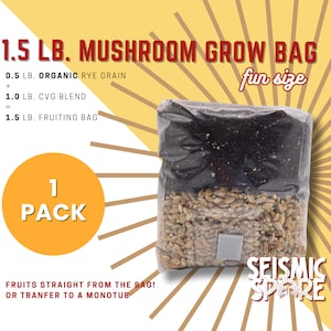All In One Mushroom Grow Bag: Sterilized Rye Grain & CVG Substrate