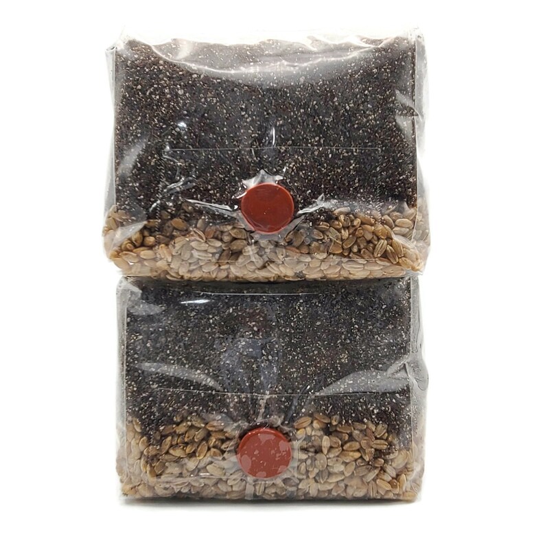 2x All in One Mushroom Grow Bags With Sterilized CVG and Rye Etsy