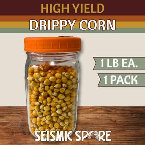 May include: A clear glass jar filled with yellow corn kernels, topped with an orange lid. The jar is labeled "DRIPPY CORN" and "HIGH YIELD" in white text. The jar is labeled "1 LB EA." and "1 PACK". The brand name "SEISMIC SPORE" is at the bottom.