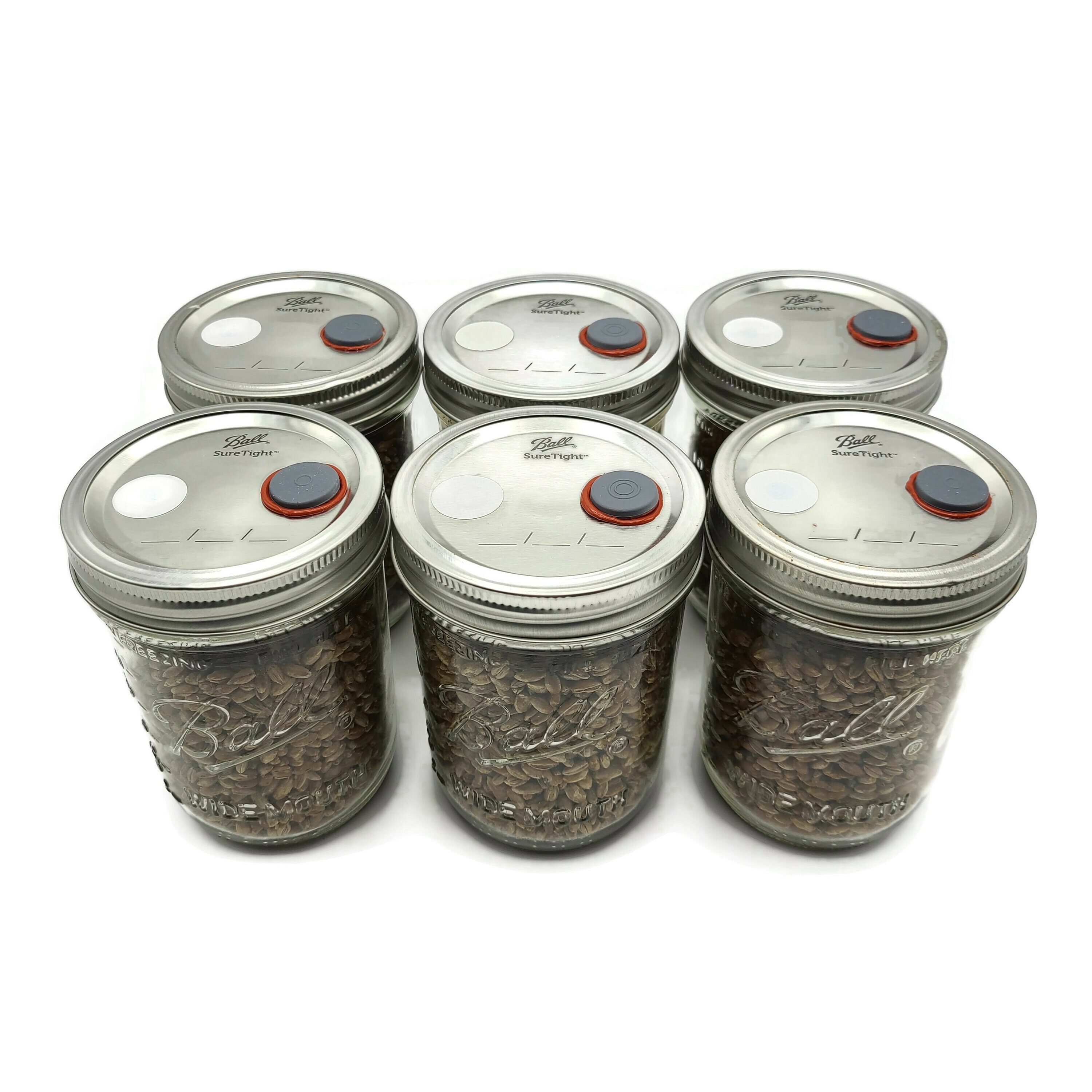 4x Sterilized Rye Grain Jars Pint Organic Rye Berry Mushroom Etsy