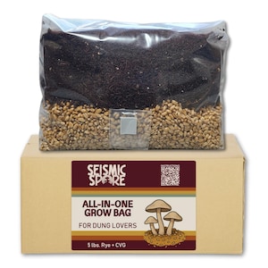 May include: A clear plastic bag containing a layer of dark brown substrate and a layer of light brown grain, resting on a cardboard box. The box label reads SEISMIC SPORE ALL-IN-ONE GROW BAG FOR DUNG LOVERS 5 lbs. Rye + CVG with mushroom art.