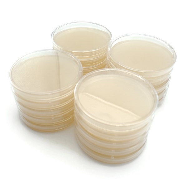 20 Malt Extract Agar Plates, Sterilized Agar Petri Dishes Individually Packaged + 20 Precut Parafilm for Wrapping