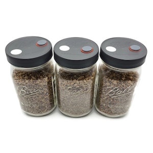 May include: Three glass jars with black lids and white and gray buttons. The jars are filled with brown grains and have the word "Ball" printed on the side. The lids have the text "Leak-Proof" printed on them.