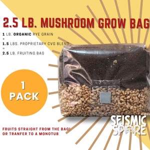 Mushroom Grow Bag: 2.5 lb All-in-One Organic Rye Berries & CVG