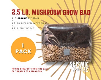 Mushroom Grow Bag: 2.5 lb All-in-One Organic Rye Berries & CVG