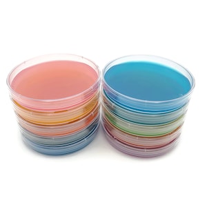 10 Sterile Malt Agar Petri Dishes: Assorted Colors + Parafilm
