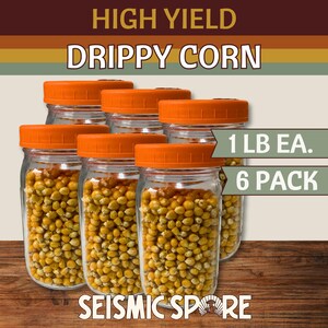 May include: Six glass jars filled with yellow corn kernels, each topped with an orange lid. The jars are labeled "1 LB EA. 6 PACK" and "DRIPPY CORN". The text "HIGH YIELD" and "SEISMIC SPORE" are also visible.