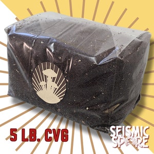 Premium Pasteurized CVG Substrate 5 lbs. - Coir, Vermiculite, Gypsum Mix for Mushroom Growth - Hydrated to Field Capacity for Mycology