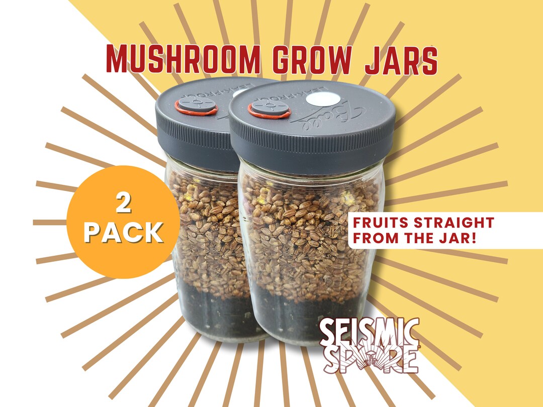 Mushroom Grow Jars 2 Pack Quart Widemouth All in One Grow Jar With