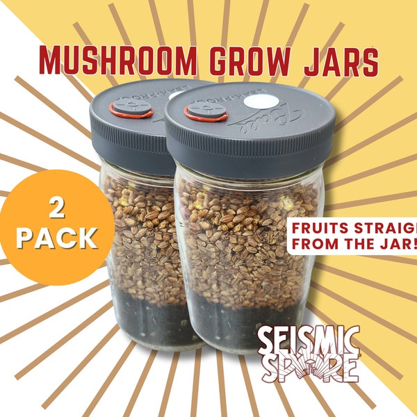 Mushroom Grow Jars - 2 Pack Quart Wide-Mouth All In One Grow Jar with Reusable Plastic Lid  - Organic Rye &