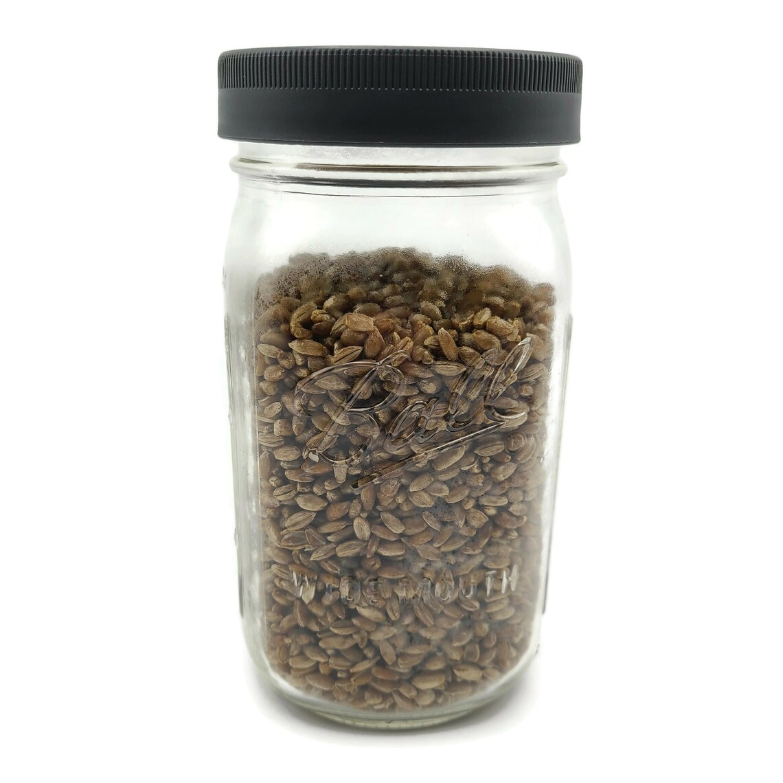 Sterilized Rye Grain Jar With Modified Leakproof Plastic Lid Etsy