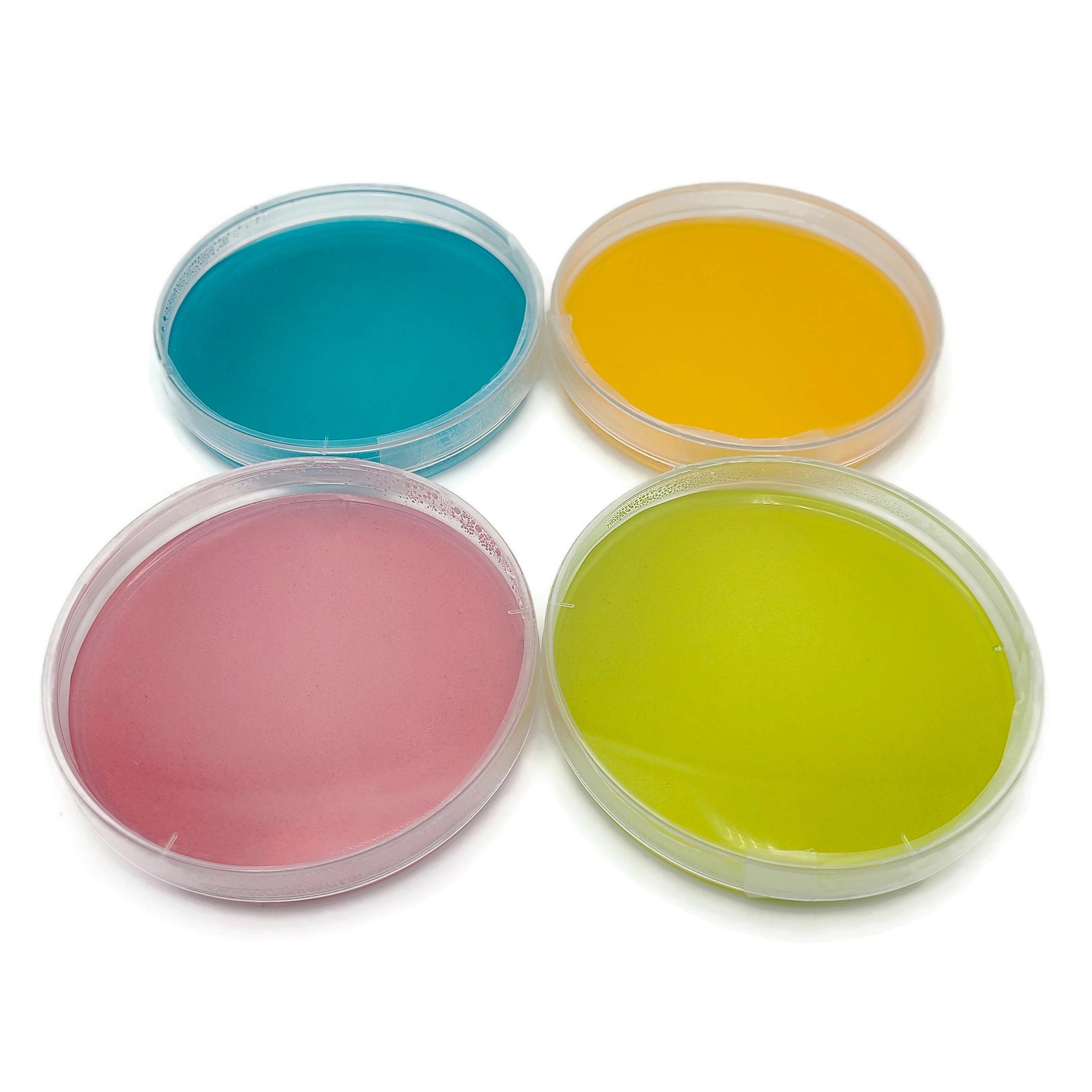 PrePoured Agar Plates 10x Activated Charcoal 10 Assorted Etsy