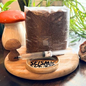 King Oyster Mushroom Substrate and Liquid Culture Grow Kit