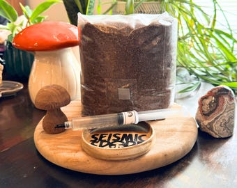 King Oyster Mushroom Substrate and Liquid Culture Grow Kit