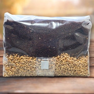 5 LB Sterile Mushroom Grow Bag - All In One Grow Kit - MAGIC!!