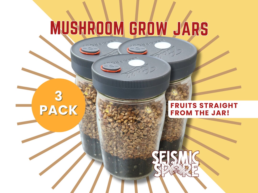 Mushroom Grow Jars 3 Pack Quart Widemouth All in One Grow Jar With