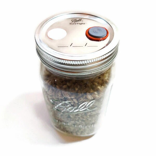 6x Sterilized Rye Grain Jars Quart Organic Rye Berry Mushroom Etsy UK