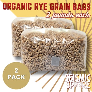 2x Sterilized Rye Grain Bags, 2 lbs. Each, 4 lbs. Total, Organic Rye Berry Mushroom Grain Substrate, RTV SHIP