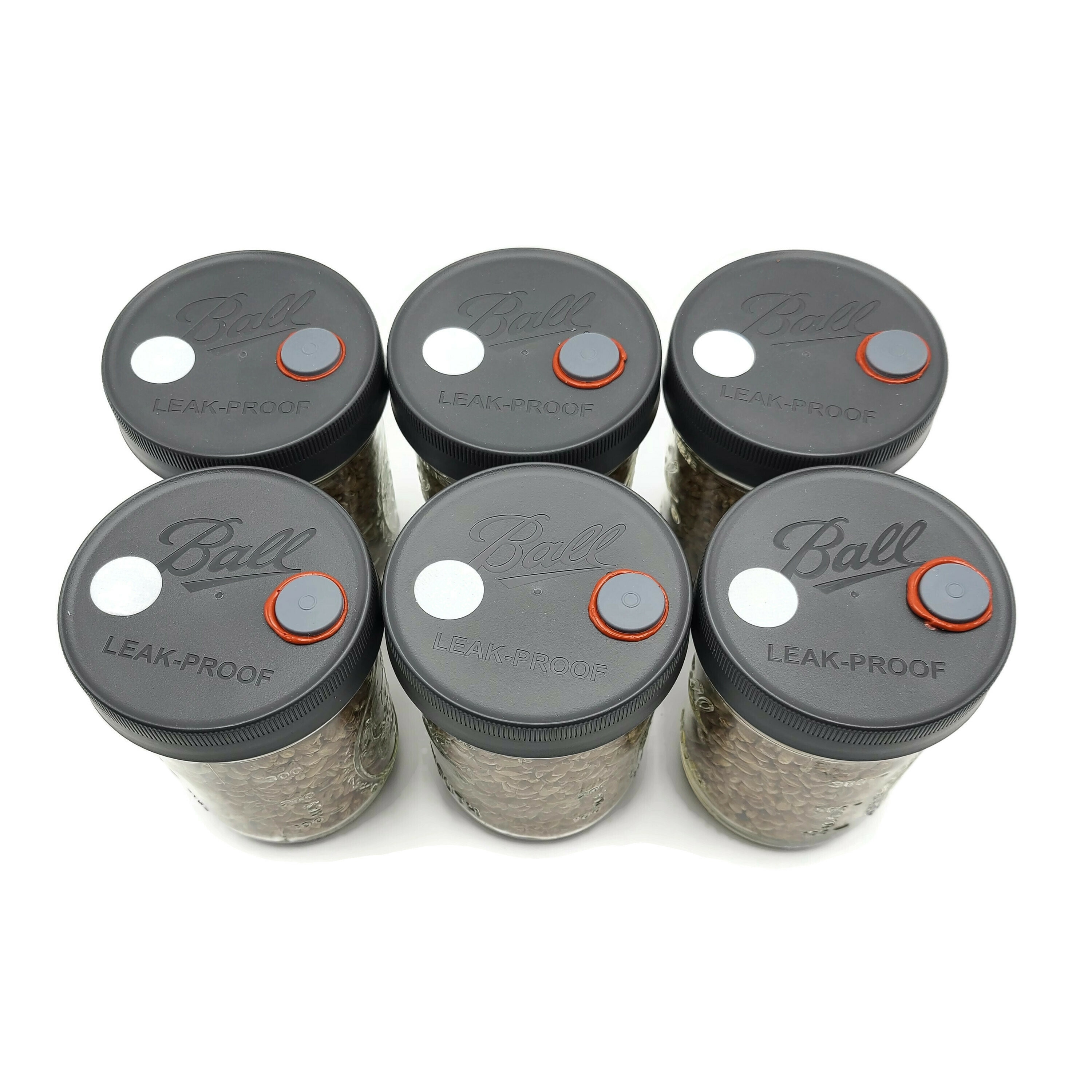 4x Sterilized Rye Grain Jars Pint Organic Rye Berry Mushroom Etsy