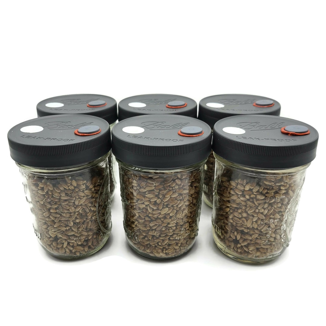 6x Sterilized Rye Grain Jars, Pint Organic Rye Berry Mushroom Grain