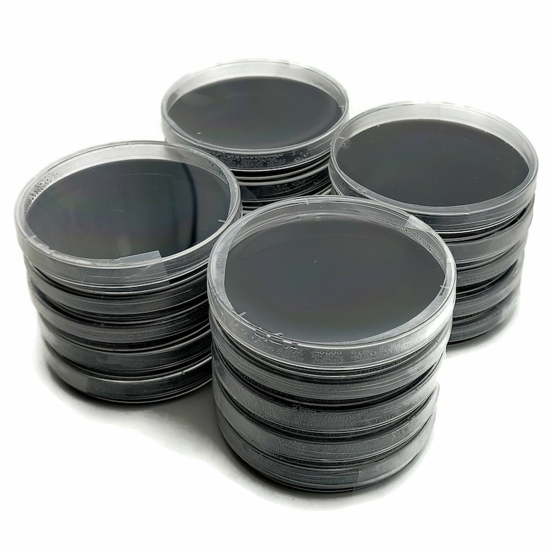 20 PrePoured Black Agar Plates Activated Charcoal Agar Petri Etsy
