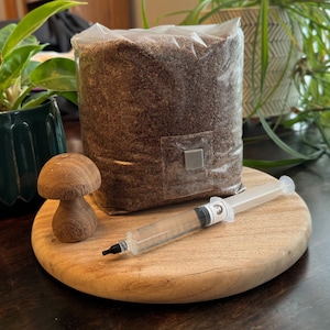 Pink Oyster Mushroom Substrate and Liquid Culture Grow Kit