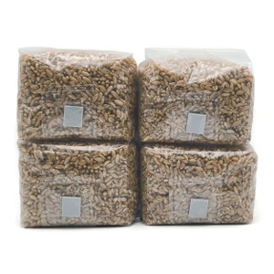 Organic Rye Grain Bags: Mushroom Substrate with Self-Healing Port (4x 1 lb)
