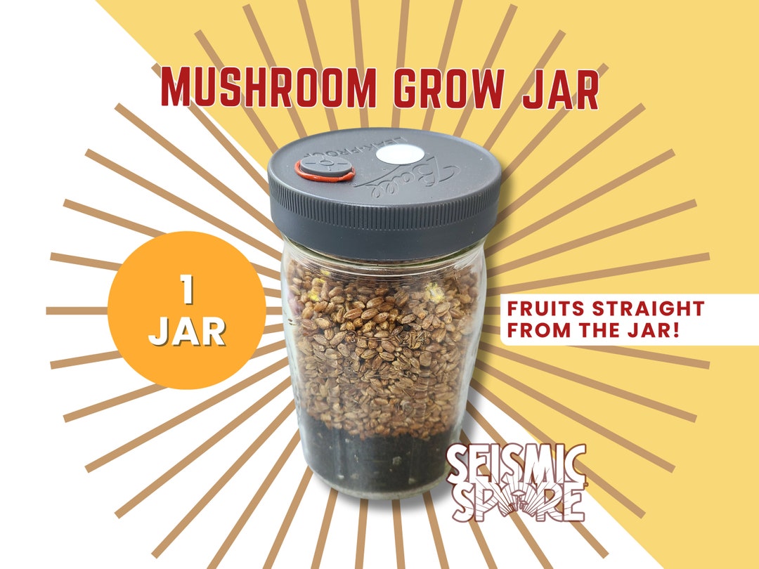 Mushroom Grow Jar Quart Widemouth All in One Grow Jar With Reusable