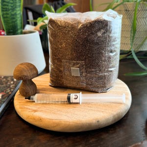 Pioppino Mushroom Substrate and Liquid Culture Grow Kit