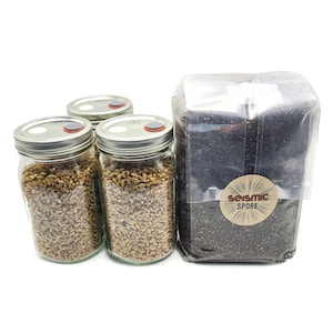 May include: Three glass jars filled with wheat grains and a brown bag labeled "Seismic Spore".