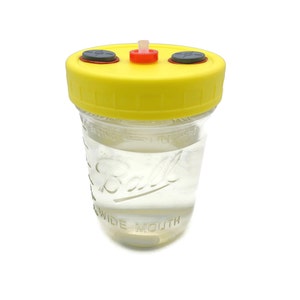 Liquid Culture Solution Jar - Magnetic StirBar - Wide Mouth Lid - Injection Ports - 1 Pint