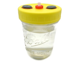 Liquid Culture Solution Jar - Magnetic StirBar - Wide Mouth Lid - Injection Ports - 1 Pint