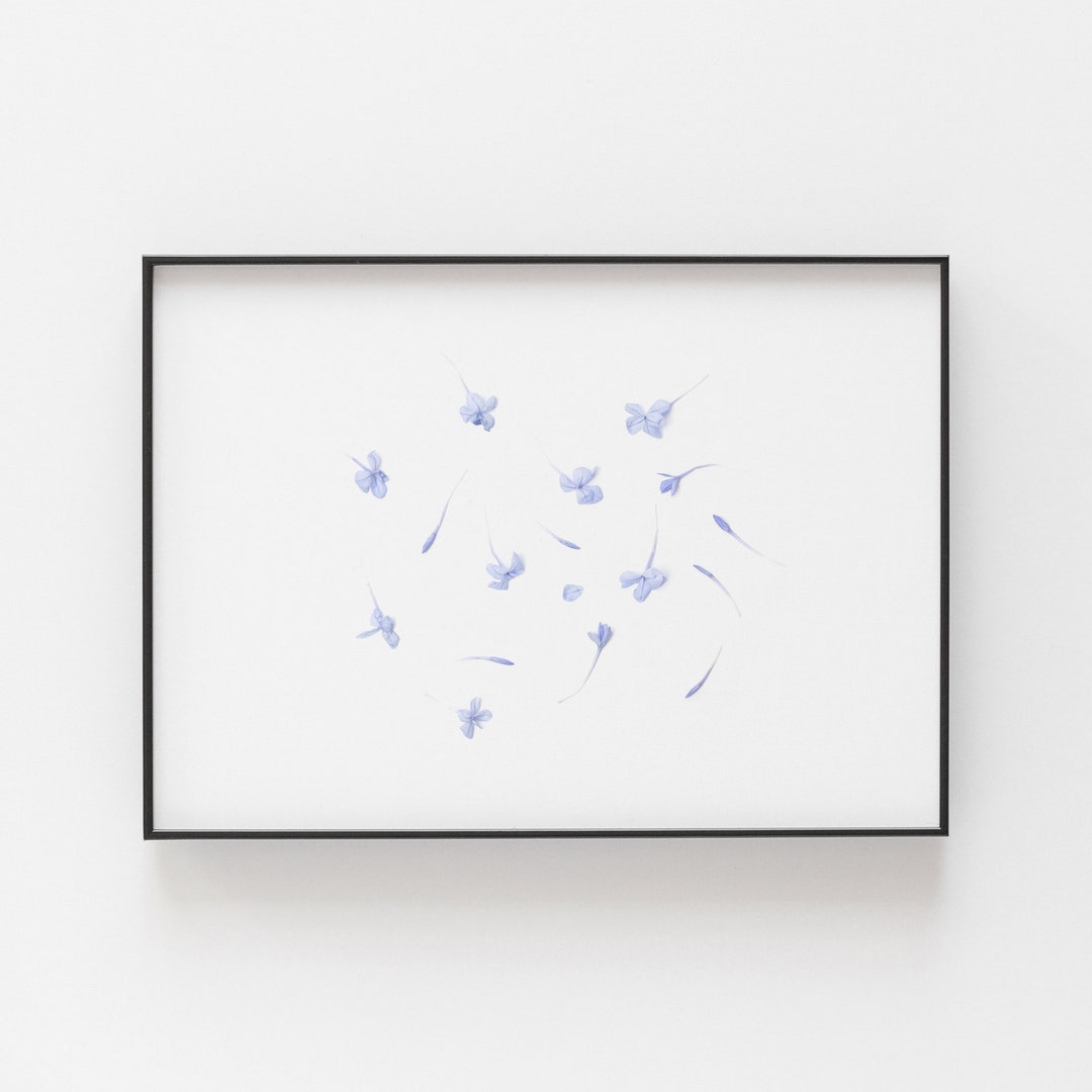 Flower Wall Art Minimalist Horizontal Prints Botanical Art Etsy