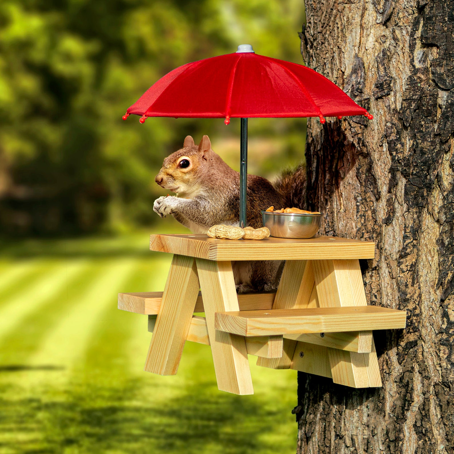 Squirrel Feeder Picnic Table with Umbrella and Corn Cob Holder Etsy