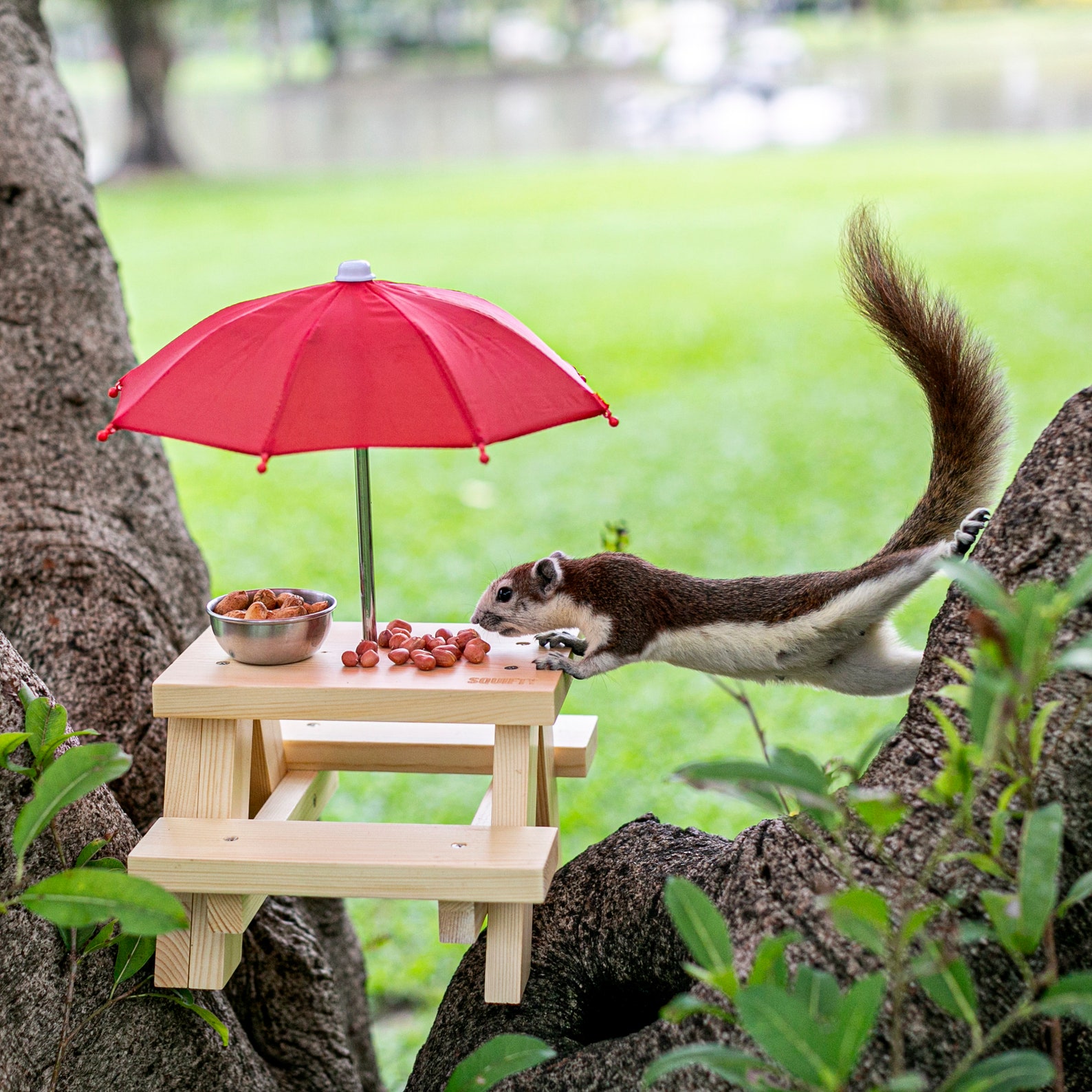Squirrel Feeder Picnic Table with Umbrella and Corn Cob Holder Etsy