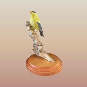 Goldfinch