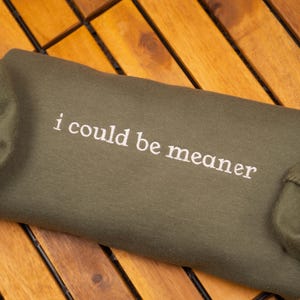 I Could Be Meaner Embroidered Sweatshirt, Spicy Attitude Crewneck, Funny Sarcastic Sweater, Confident Friend Gift, Sassy Parent Shirt image 3