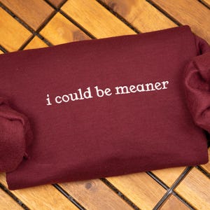 I Could Be Meaner Embroidered Sweatshirt, Spicy Attitude Crewneck, Funny Sarcastic Sweater, Confident Friend Gift, Sassy Parent Shirt image 2
