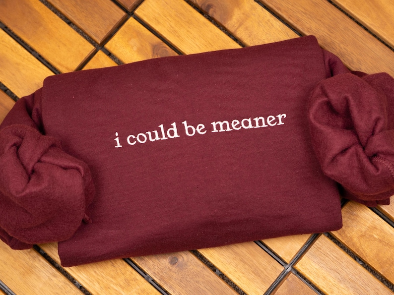 I Could Be Meaner Embroidered Sweatshirt, Spicy Attitude Crewneck, Funny Sarcastic Sweater, Confident Friend Gift, Sassy Parent Shirt image 2