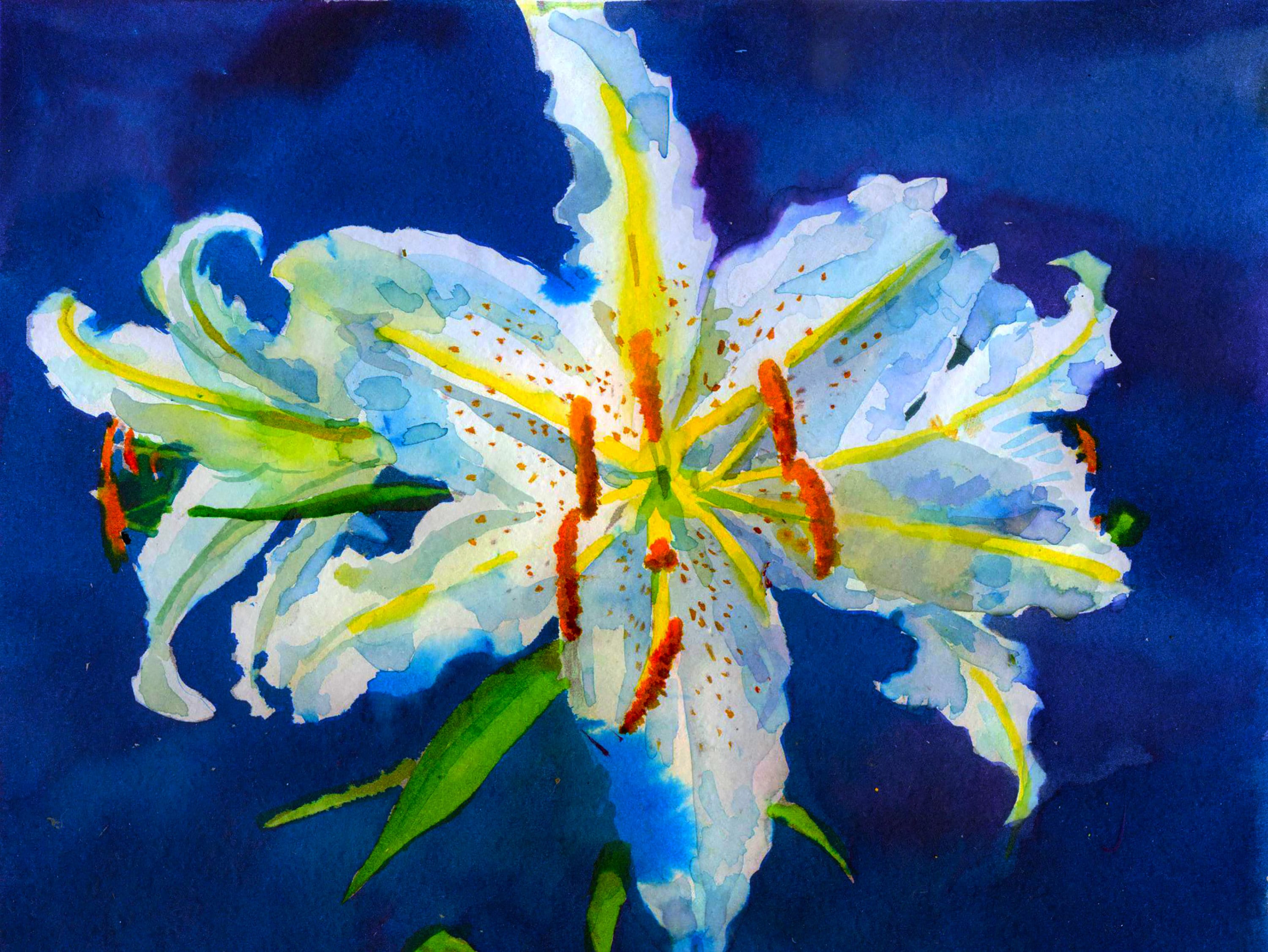 Lily Painting Original Watercolor Painting White Lilies 12 by Etsy