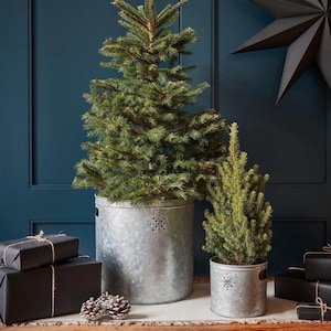 May include: Two artificial Christmas trees in galvanized metal planters with star cutouts. The larger tree is in a tall planter, and the smaller tree is in a shorter planter. Black wrapped gifts with twine and pinecones are on a wooden surface.