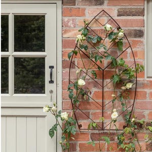 May include: A metal leaf-shaped trellis with a climbing rose bush growing up it. The trellis is attached to a brick wall and the rose bush has white flowers.