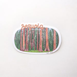 Sequoia NP Sticker | California | National Parks USA | High Quality Waterproof Vinyl Stickers| laptops, water bottles, mirror, journal