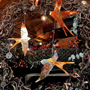 Copper swallows