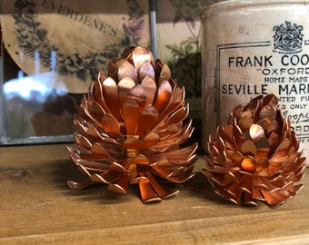 Copper Fir cones