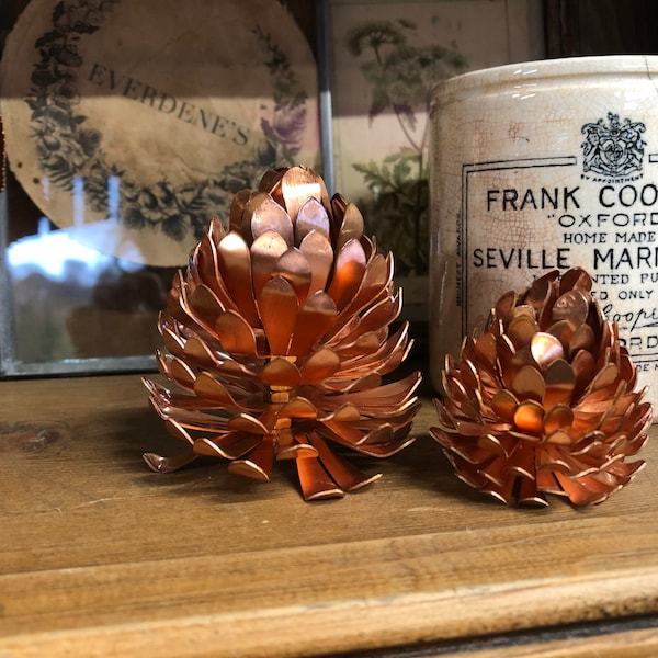 Copper Fir cones